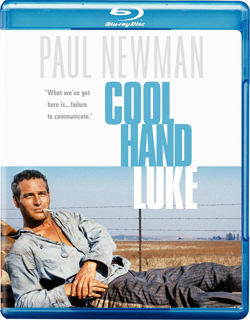 Starring Paul Newman 
