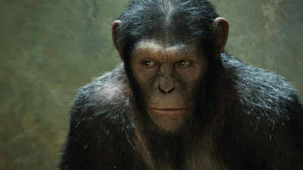 Rise of the Planet of The Apes Blu Ray